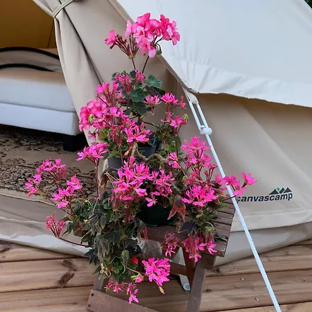 Glamping Ponsa * Tohkala